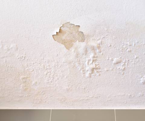 Ingatlant vásárolna, de úgy látja, mintha vizesedne a fal és nem biztos benne, hogy a későbbiekben nem lesz penészedés? Ingatlant vásárolna, de úgy látja, mintha vizesedne a fal és nem biztos benne, hogy a későbbiekben nem lesz penészedés?